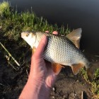 Фото рыбалки в Чехонь 1