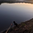 Фото рыбалки в Судак 0