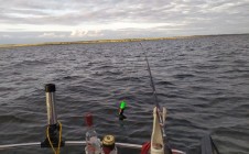 Фото рыбалки в Красноармейский район 7