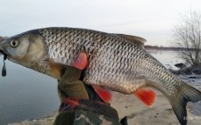 Фото рыбалки в Иванчино 4