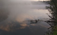 Фото рыбалки в Вершинино, Зеленоградский городской округ 1