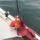 Фото рыбалки в Сиг 3