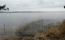 Фото рыбалки в Новосёлки, Зельвенский район 1