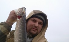 Фото рыбалки в Буда-Кошелёвский район 0