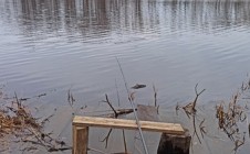 Фото рыбалки в Малиновка, Осиповичский район 4