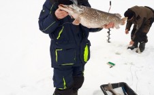 Фото рыбалки в городской округ Козьмодемьянск 1