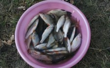 Фото рыбалки в Саргатский район 7