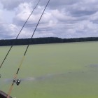 Фото рыбалки в Окунь 9