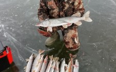 Фото рыбалки в Советский район 1