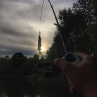 Фото рыбалки в Голавль, Щука 2