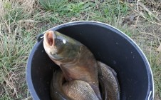Фото рыбалки в Динской район 7