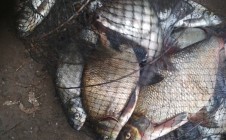 Фото рыбалки в Уржумский район 4