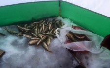 Фото рыбалки в Каслинский район 6