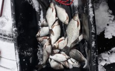 Фото рыбалки в Нижний Новгород 4
