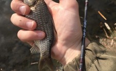 Фото рыбалки в Ульяновская область 5