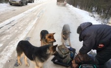 Фото рыбалки в муниципальное образование Северодвинск 10