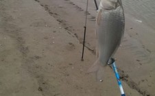 Фото рыбалки в Атырау 1