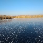 Фото рыбалки в Окунь, Судак 1