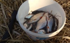 Фото рыбалки в Гута, Ганцевичский район 1