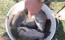 Фото рыбалки в Мечта, Криворожский городской совет 2