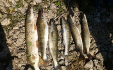 Фото рыбалки в Караидельский район 1