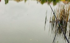 Фото рыбалки в Сеница 2