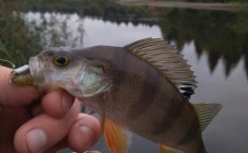 Фото рыбалки в Щедровщина 1