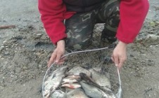 Фото рыбалки в Дубоссарский район 6