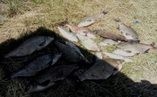 Фото рыбалки в Дюна 8
