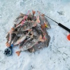 Фото рыбалки в Лещ, Плотва 5