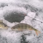 Фото рыбалки в Броницьке озеро 8