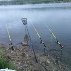 Фото рыбалки в Берш, Сом 5
