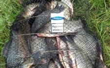 Фото рыбалки в Валковский район 3