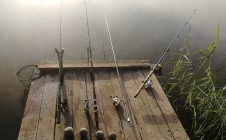Фото рыбалки в Максимовка, Шебекинский городской округ 2