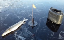 Фото рыбалки в Калинино, Большесельский район 0