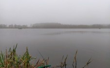 Фото рыбалки в Приозёрная, Чаусский район 4