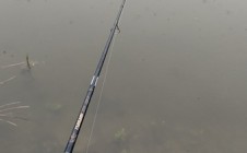 Фото рыбалки в Елизаветовка, Антрацитовский район 1