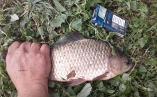 Фото рыбалки в Вольное, Криворожский район 0