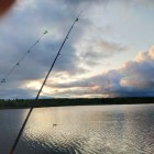 Фото рыбалки в Лещ 7
