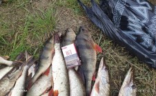 Фото рыбалки в Уватский район 11
