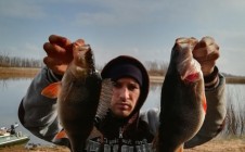 Фото рыбалки в Нива, Мозырский район 1