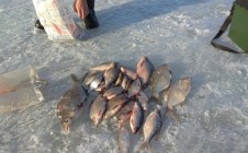 Фото рыбалки в Ильинский, Ильинский городской округ 1