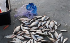 Фото рыбалки в Клецкий район 1