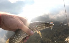 Фото рыбалки в Горняк 1