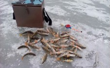 Фото рыбалки в Моргаушский район 1