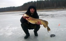 Фото рыбалки в Городокский район 5