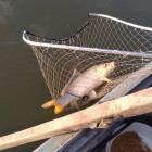 Фото рыбалки в Окунь, Щука 5