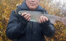 Фото рыбалки в Улан-Удэ 6