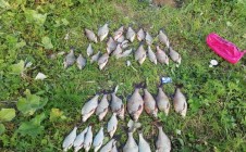 Фото рыбалки в Гафурийский район 7