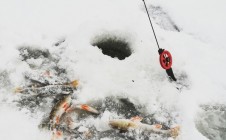 Фото рыбалки в Одоевское 2